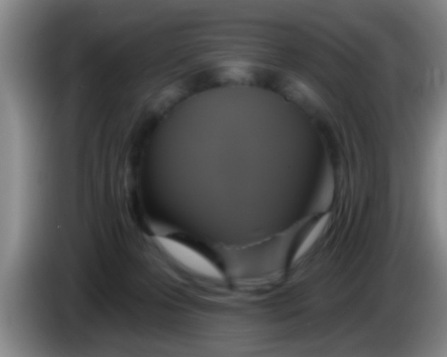 X0000084020223200703091954