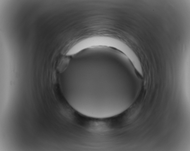 X0000084020224200703091954