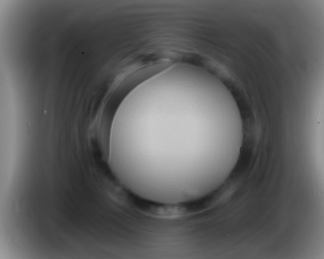 X0000084020225200703091954