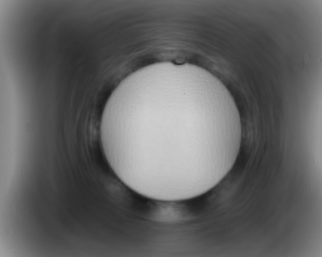 X0000084020226200703091954