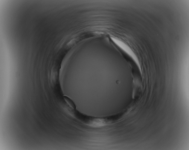 X0000084020227200703091954