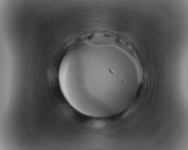 X0000084020228200703091954