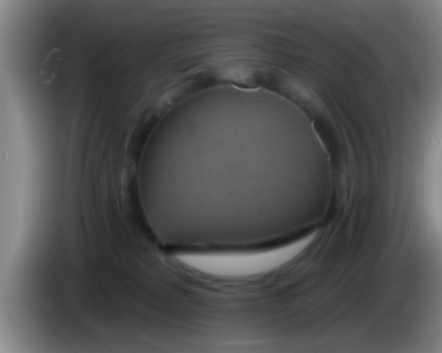 X0000084020229200703091954