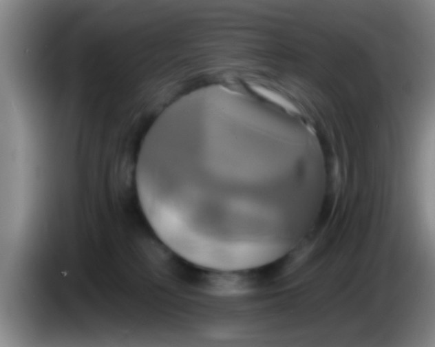 X0000084020230200703091954