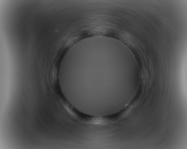 X0000084020231200703091954