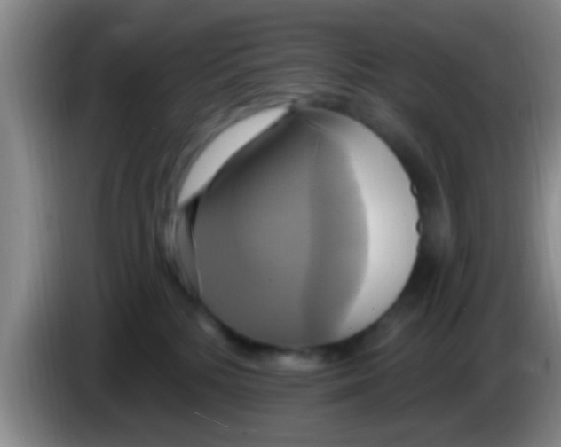 X0000084020232200703091954