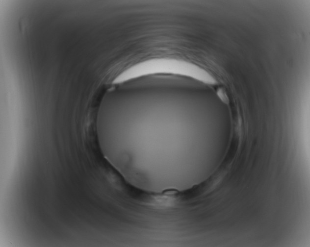 X0000084020233200703091954