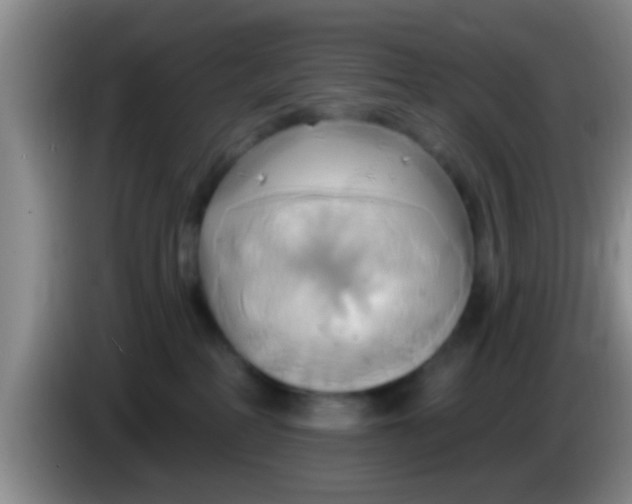 X0000084020234200703091954