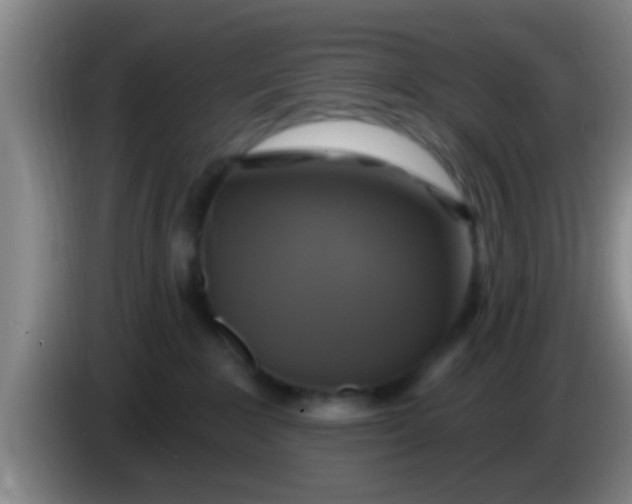 X0000084020235200703091954