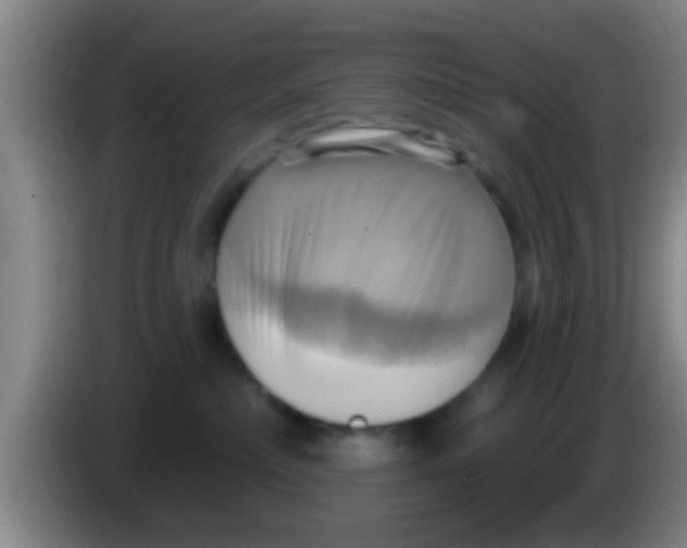 X0000084020236200703091954