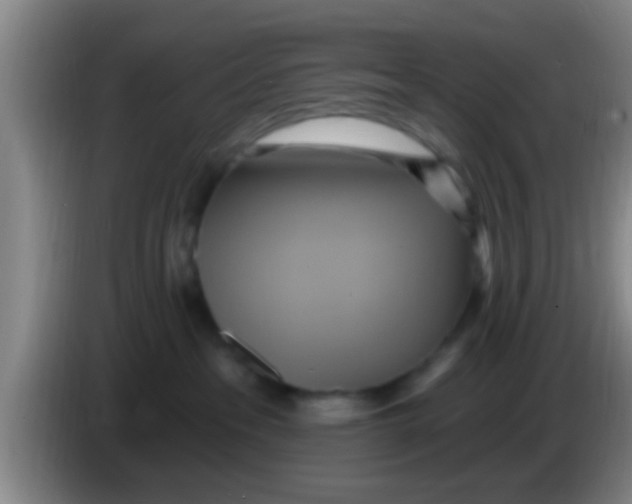 X0000084020237200703091954