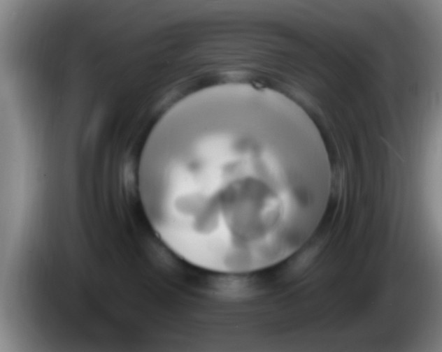 X0000084020238200703091954