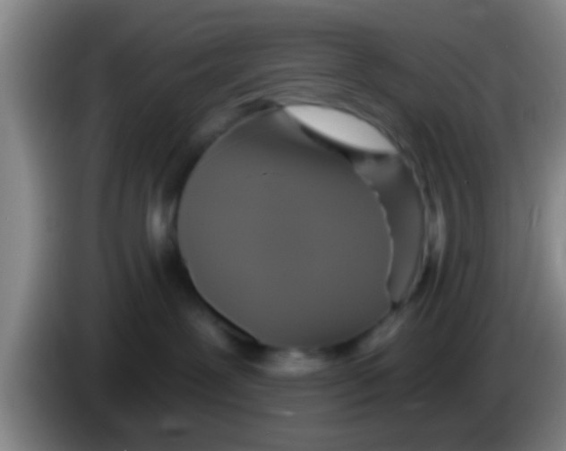 X0000084020239200703091954