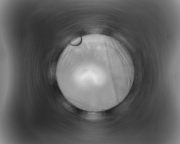 X0000084020240200703091954