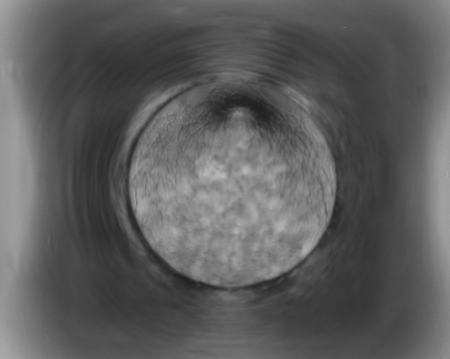 X0000084020241200703091954