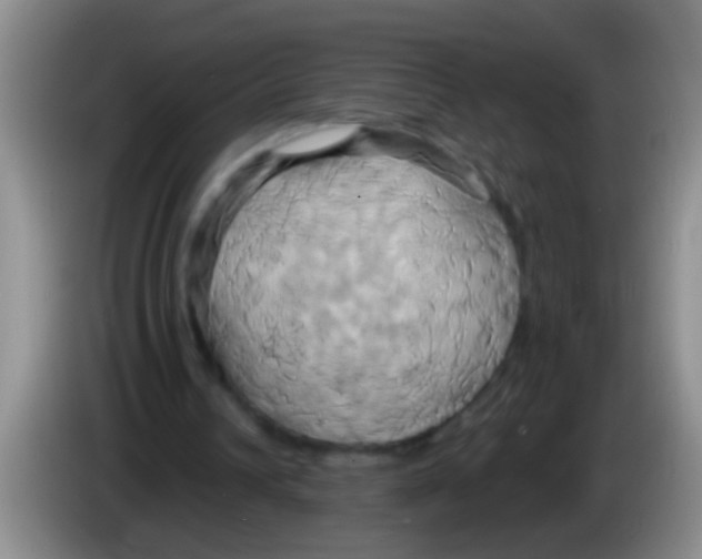 X0000084020242200703091954