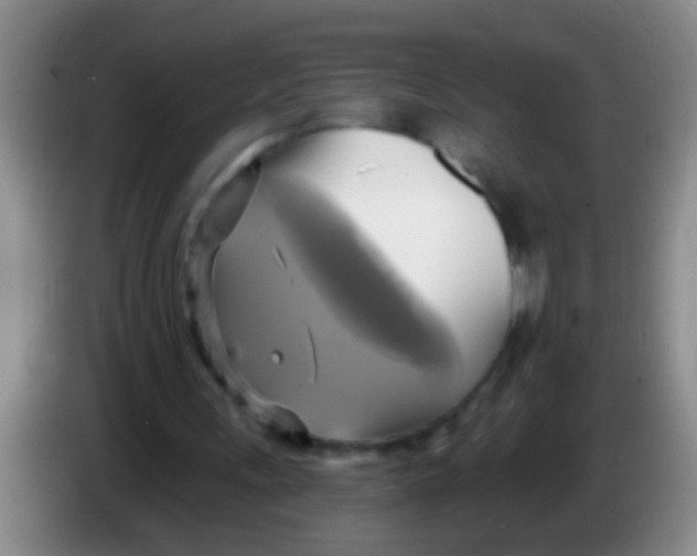 X0000084020243200703091954