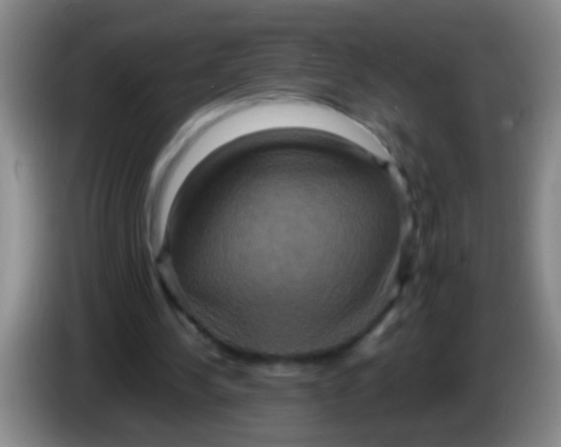 X0000084020244200703091954