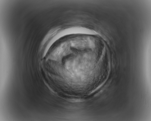 X0000084020245200703091954