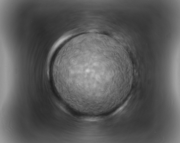 X0000084020246200703091954