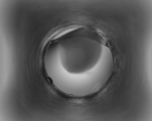 X0000084020247200703091954