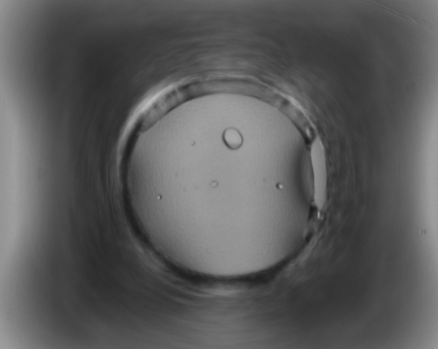 X0000084020248200703091954