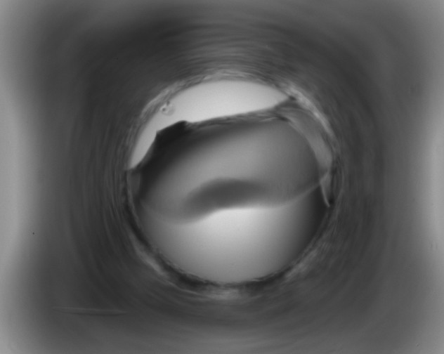 X0000084020249200703091954