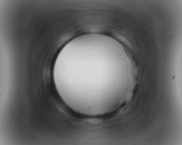 X0000084020251200703091954