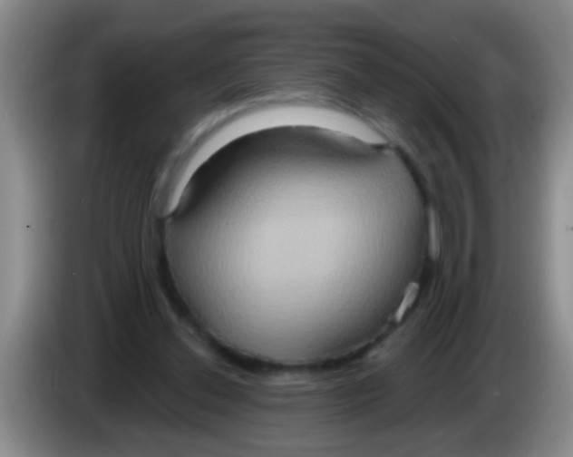 X0000084020252200703091954