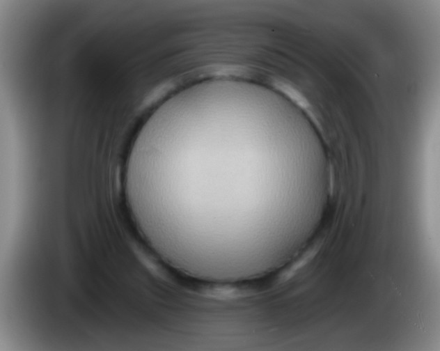 X0000084020253200703091954