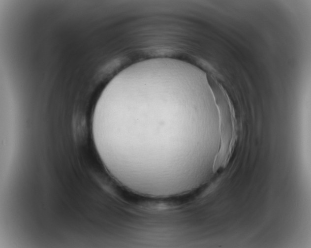 X0000084020254200703091954