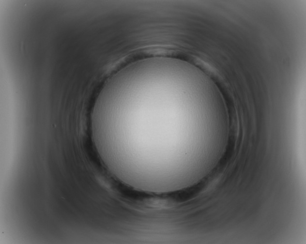 X0000084020255200703091954