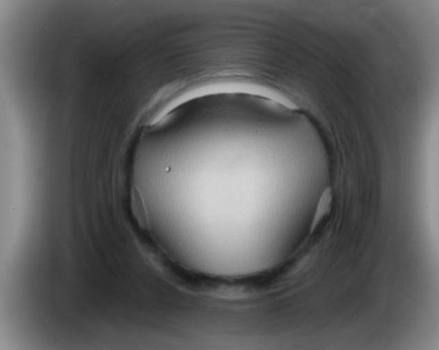 X0000084020256200703091954