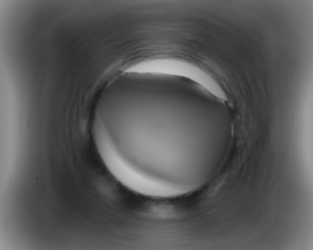 X0000084020258200703091954