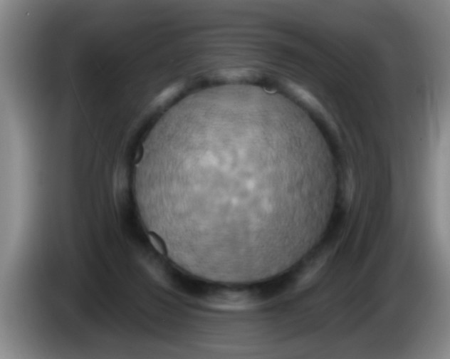 X0000084020260200703091954