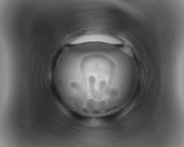 X0000084020261200703091954