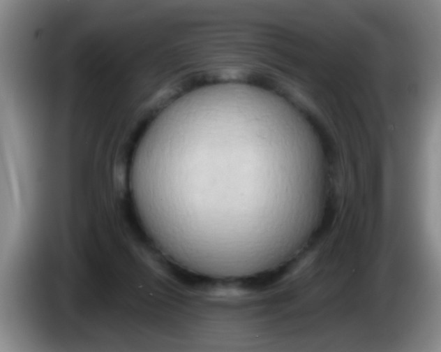 X0000084020262200703091954