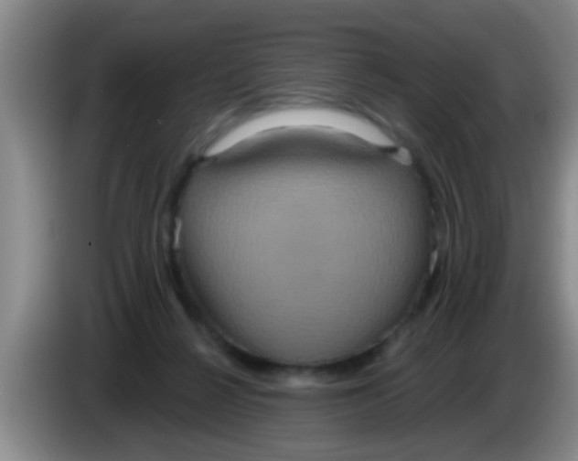 X0000084020264200703091954