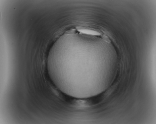 X0000084020265200703091954