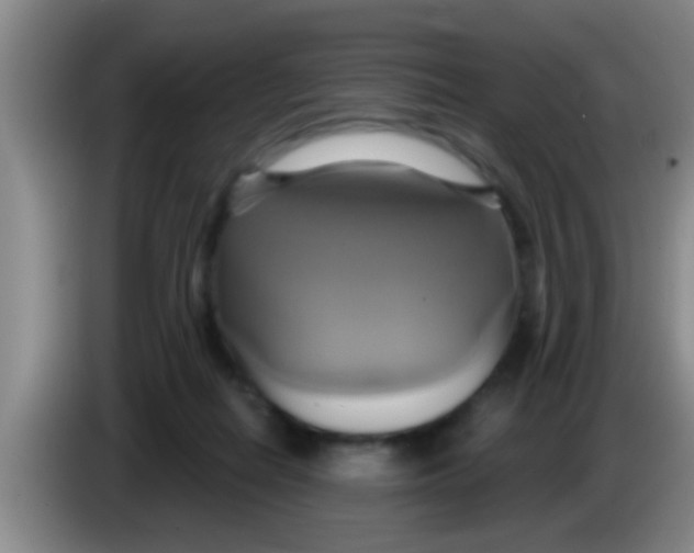 X0000084020266200703091954