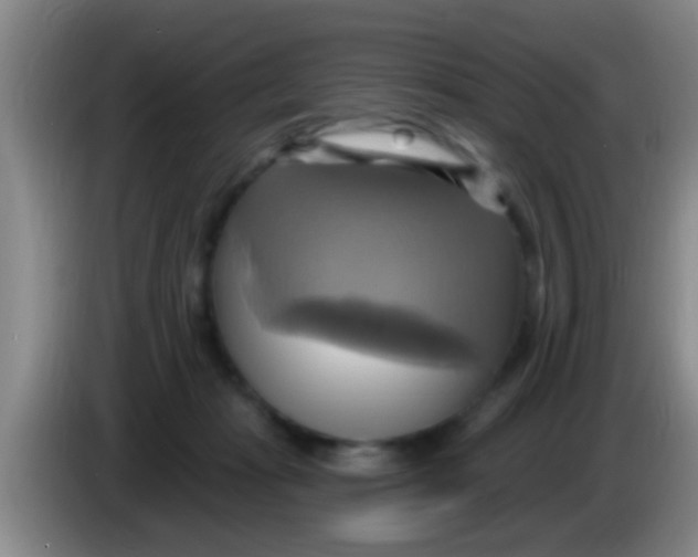 X0000084020269200703091954