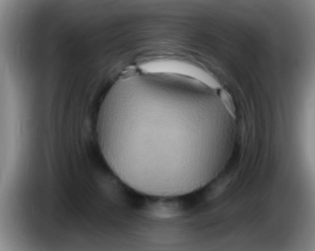 X0000084020270200703091954