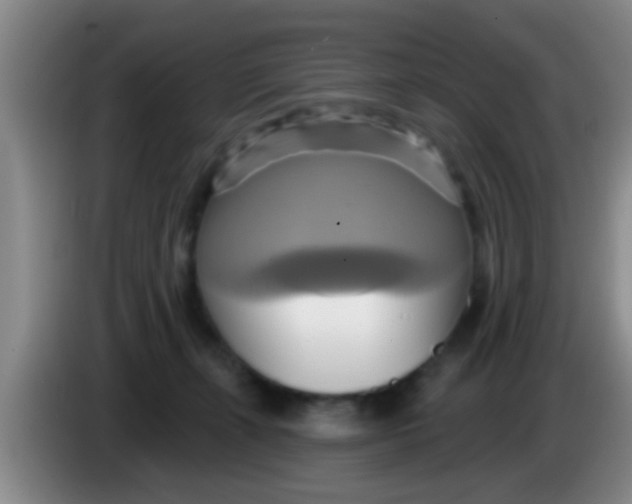 X0000084020271200703091954