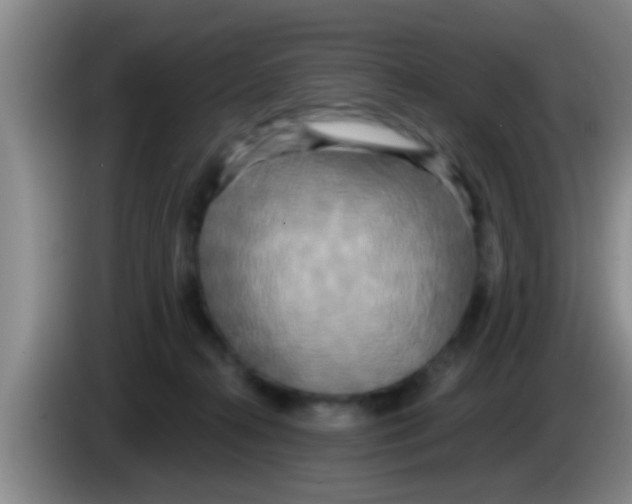 X0000084020272200703091954