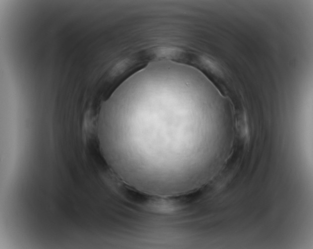 X0000084020276200703091954