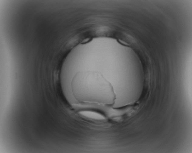 X0000084020278200703091954