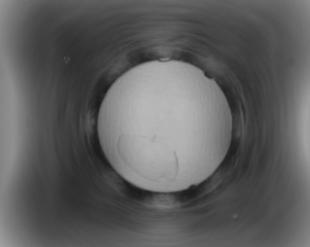 X0000084020279200703091954