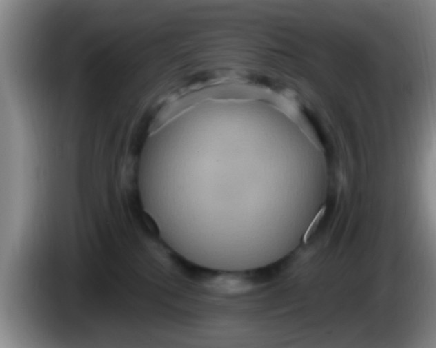 X0000084020280200703091954