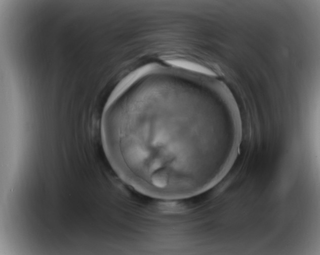 X0000084020281200703091954