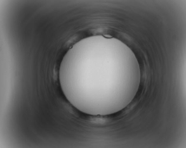 X0000084020282200703091954